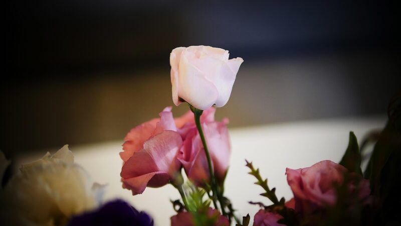 【そのまま使える】相手別・会費制結婚式の招待状文例集